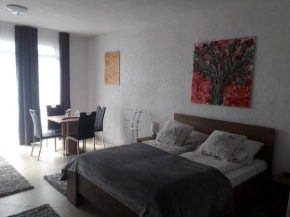 Queen apartman Debrecen